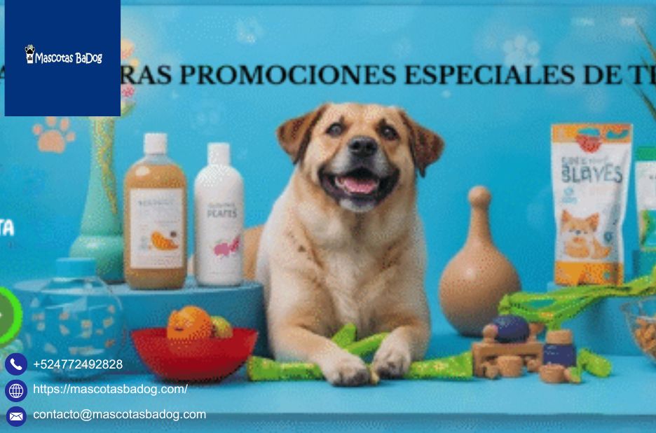 Peluquería canina y baño profesional en León