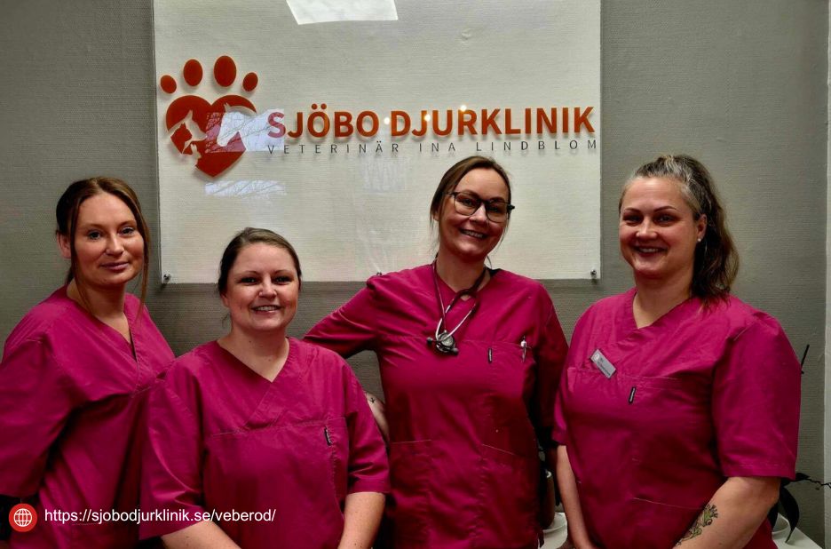 Omsorgsfull vägledning inför hundens sista avsked i Simrishamn