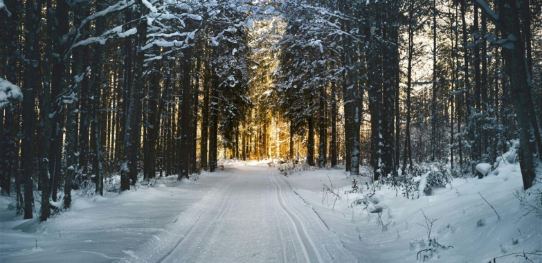 DC Workers’ Comp Lawyer: Clear Guidance & Strong Representation