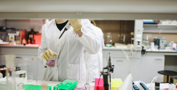 Custom Antibody Production Service — Precision Assays for Your Research