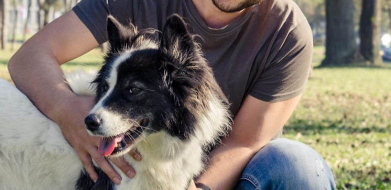 Playdate App for Dogs: Quick, Safe Socials
