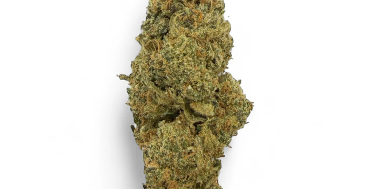 CBD Budz: Gentle Hemp Solutions for Daily Calm