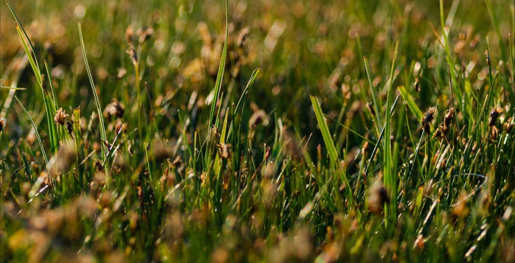 Patio Cleaning Services Bristol | Eco-Friendly, Fast & Reliable