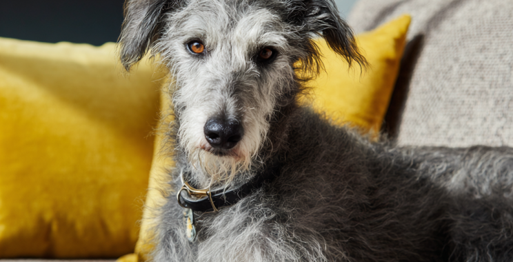 Kitchen Cleaning Services in Bristol: Sparkling Results, Flexible Scheduling