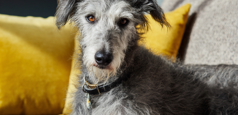 Kitchen Cleaning Services in Bristol: Sparkling Results, Flexible Scheduling