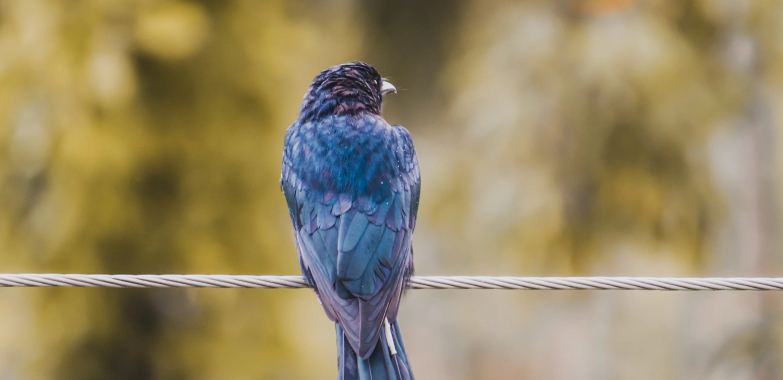 Octopus Sprinkler Toy – Buy Online in the UK