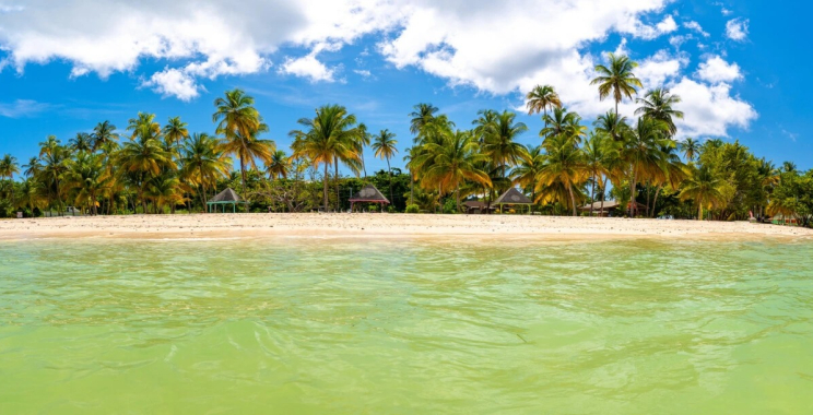 Budget Car Rentals in Hawaii: Save on Island Trips