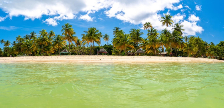 Budget Car Rentals in Hawaii: Save on Island Trips