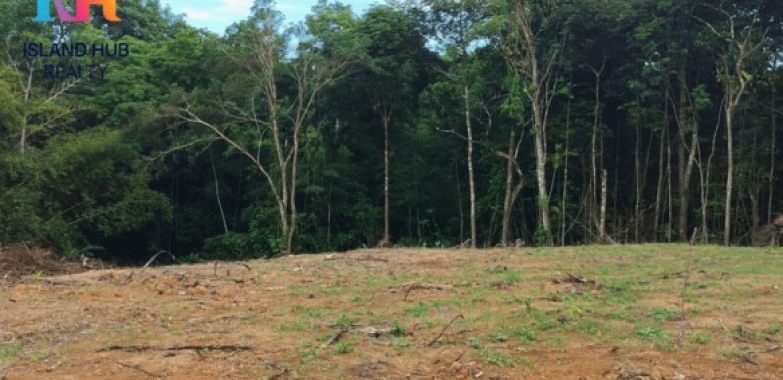 Prime Land for Sale Trinidad: 1.2-Acre Parcel Near Port of Spain