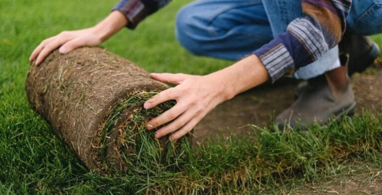 Trusted landscape gardeners in South West London