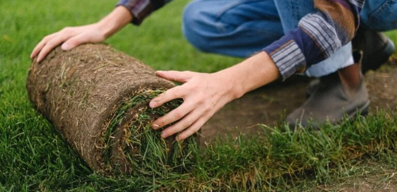 Trusted landscape gardeners in South West London