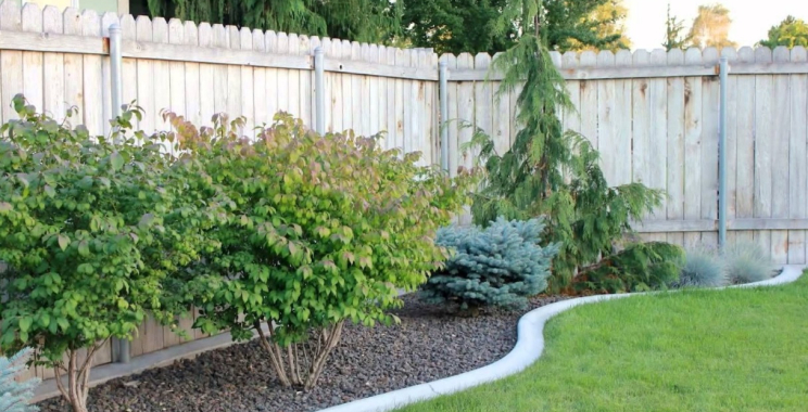Landscapers Rocklin: Local Yard Design & Care