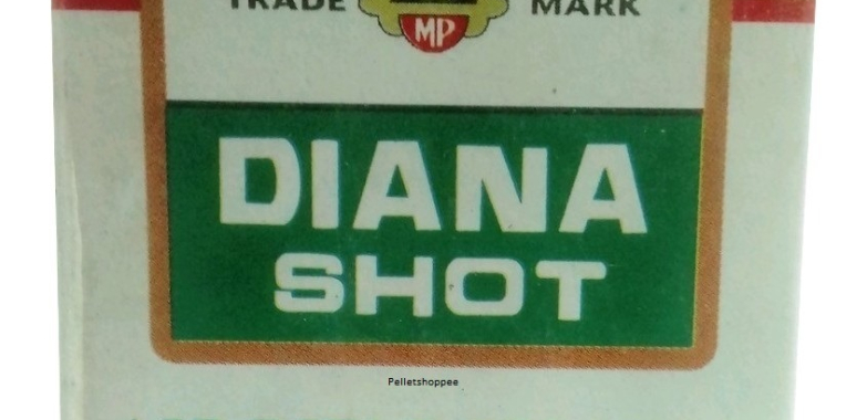 PCP Electric Air Compressor: Compact, Quiet, Reliable