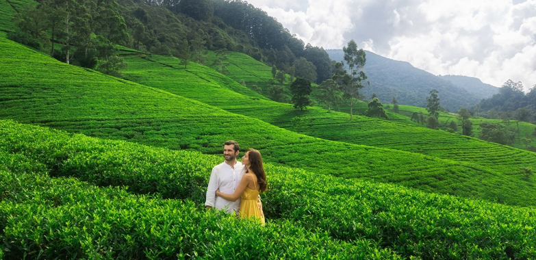 Sri Lanka Scenic Landscape Tour: A Visual Odyssey