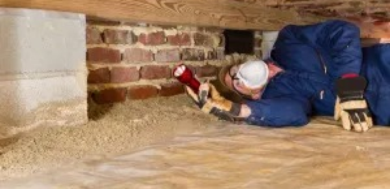 Pest Control Wasps Near Me: Fast, Safe Nest Removal