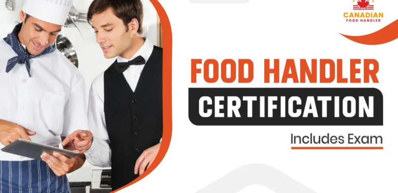 Food handler certificate: essential credentials for safe kitchen work