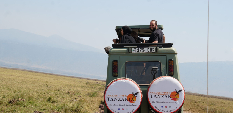 African Safari Tours: Unforgettable Wildlife Journeys