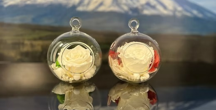 Forever Sunflower: A Long-Lasting Ray of Sunshine