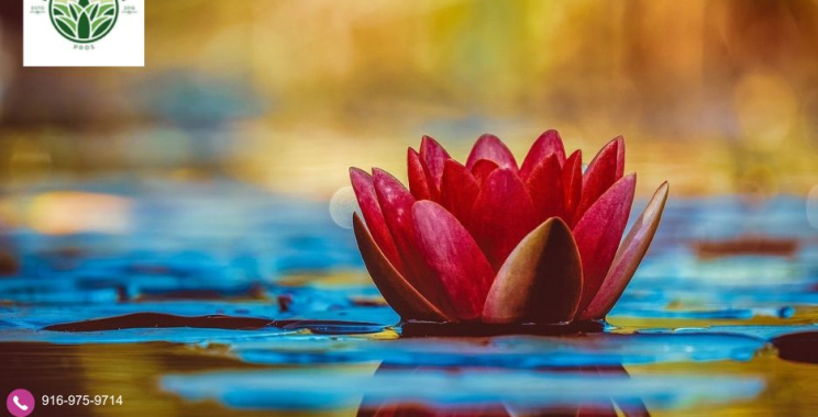 Rocklin Landscaping | Rocklinlandscapingpros.com