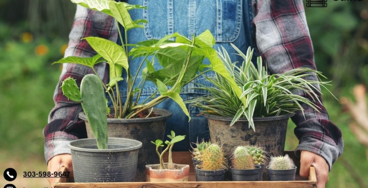 Online Marketplace For Small Farms | Cuina