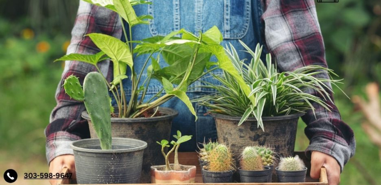 Online Marketplace For Small Farms | Cuina