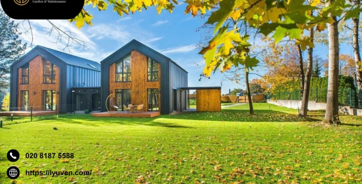 Expert Hedge Trimming and Pruning Services in Morden for Perfect Gardens