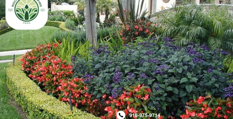 Landscape Design Rocklin | Rocklinlandscapingpros.com