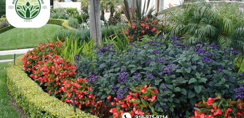 Landscape Design Rocklin | Rocklinlandscapingpros.com