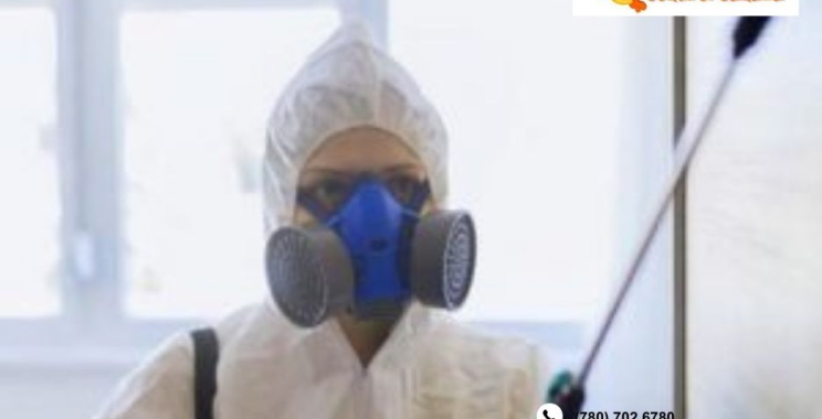 Termite Treatment Cagary | Dragonpestcontrol.ca