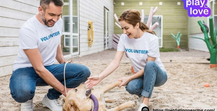 Cats Dating Website | Petdatingnearme.com