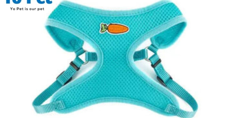 Hamster Litter Tray Buy Online Uk | Yopet.co.uk