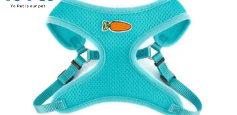 Hamster Litter Tray Buy Online Uk | Yopet.co.uk