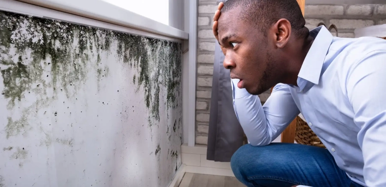 Water Damage Restoration New York | 24serv.com