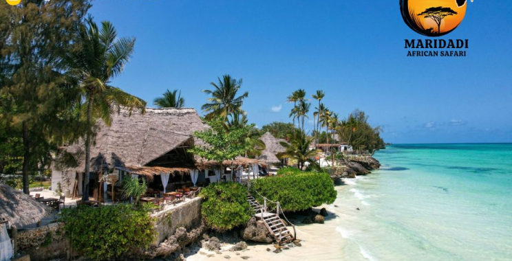 Explore Top Kenya Safari Packages for Unforgettable Wildlife Adventures