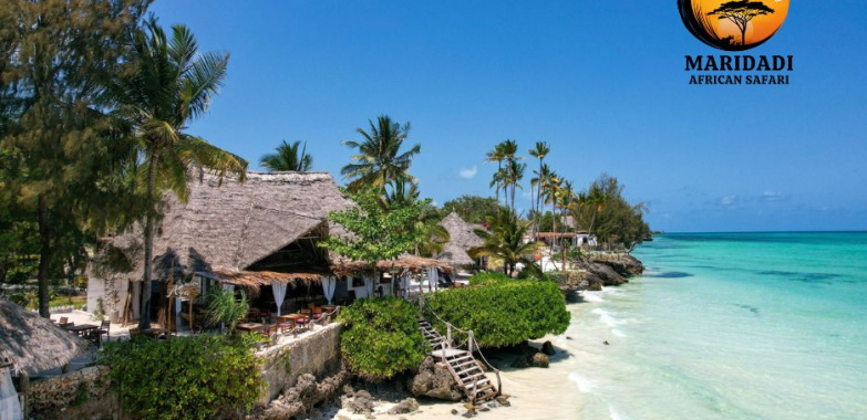 Explore Top Kenya Safari Packages for Unforgettable Wildlife Adventures