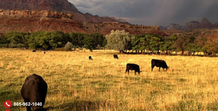 Smart Farm Business Guidance for Santa Barbara Farmers