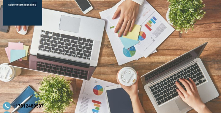 Tailored Software Solutions for U.S. Businesses