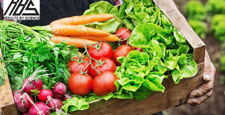 Top Training Plans to Transform Your Fitness This Year