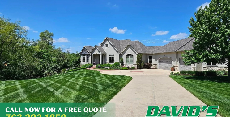 Reliable Yard Care Throughout All Seasons