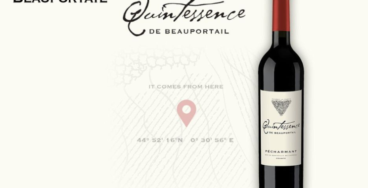 Vins millésimés en ligne: découvrez des crus d’exception