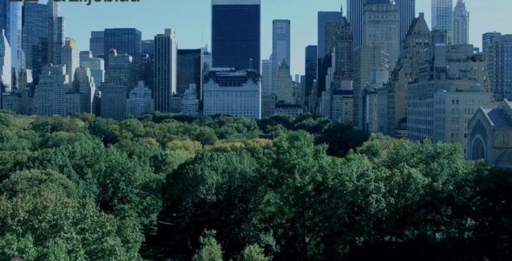 Optimerad prissättning internt för företagets vinst och riskminimering