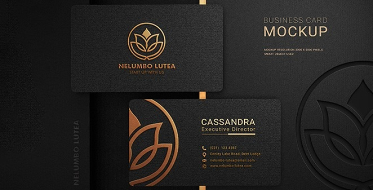 Boost Your Local Presence in Ontario with Expert SEO Services