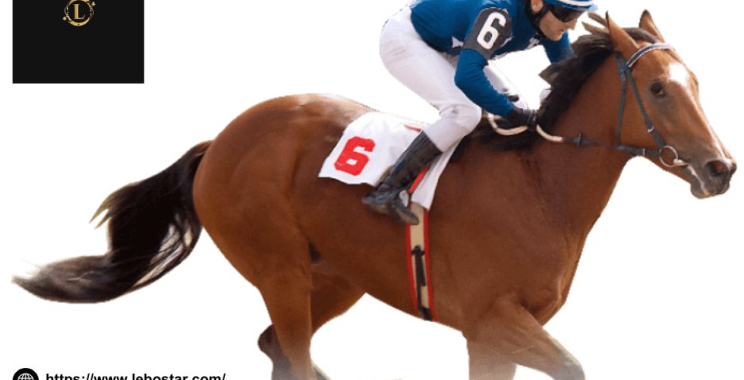 專注於澳門賽事現場轉播與即時投注解析