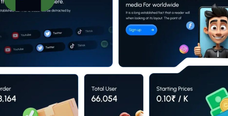 Budget-Friendly SMM Panel Services for Fast Growth