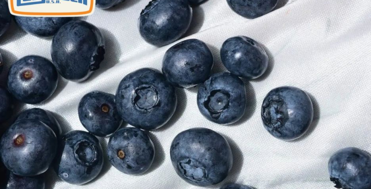 Zone Nicotine Pouches | Calipouch