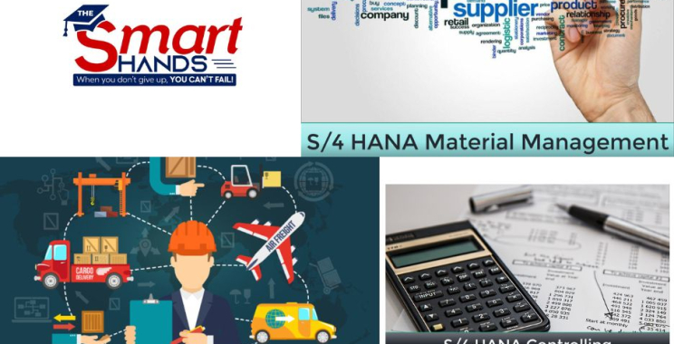 Master SAP ERP Skills with a Practical Training Program