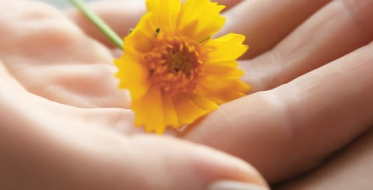 Find Trusted Mental Health Support in Markham Today