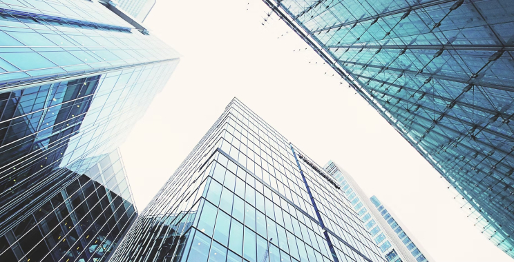 Holistic Mental Wellness Solutions – Your Path to Balance