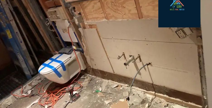 Protect Your Space: Expert Mold Cleanup on Long Island