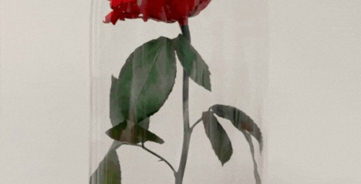 Boutique Florists in Clifton: Fresh blooms & bespoke arrangements